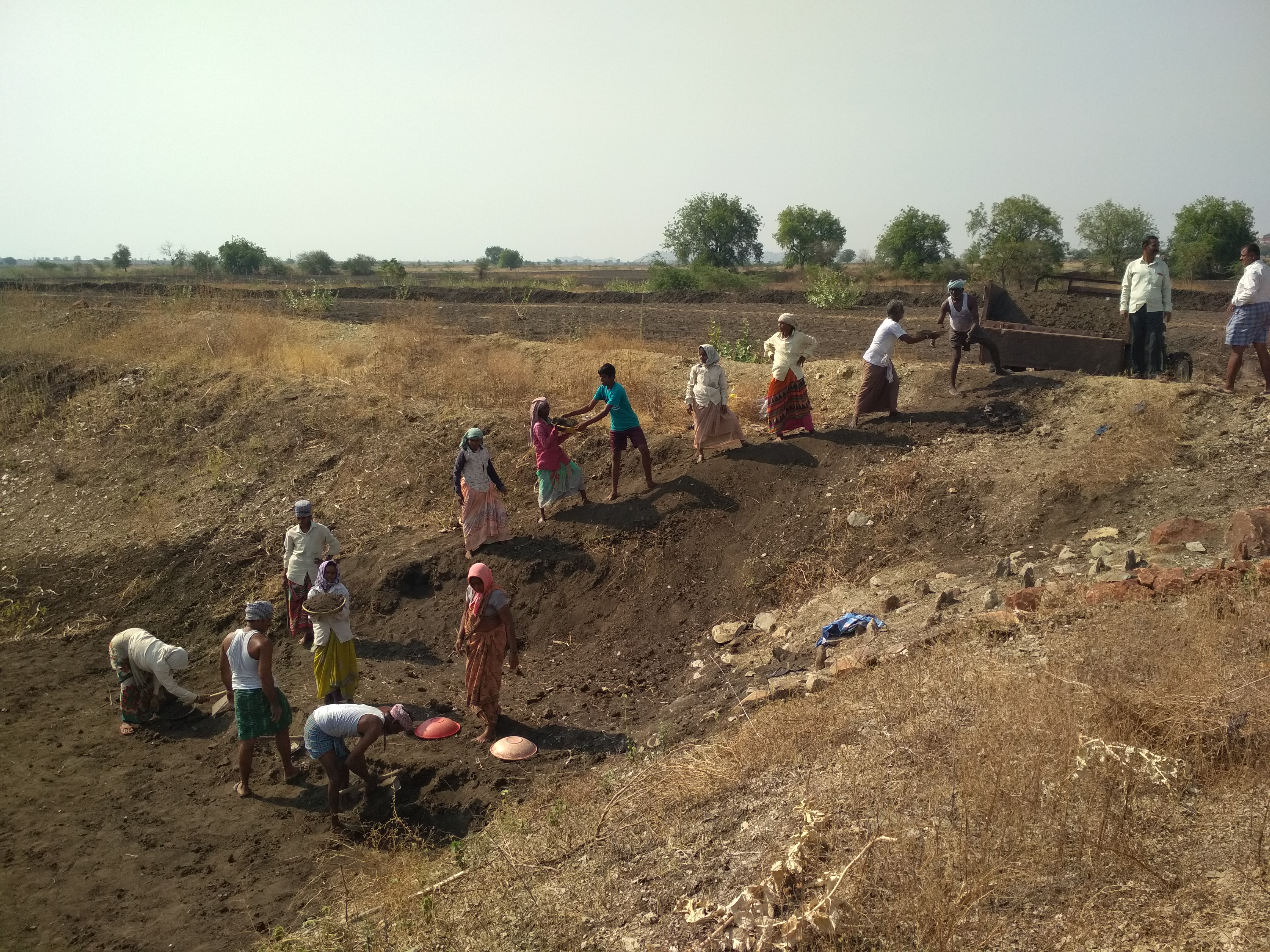 efs_india project_farmers从事该项目