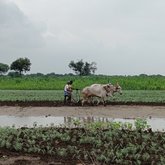 把企业责任放在气候行动在印度的村庄