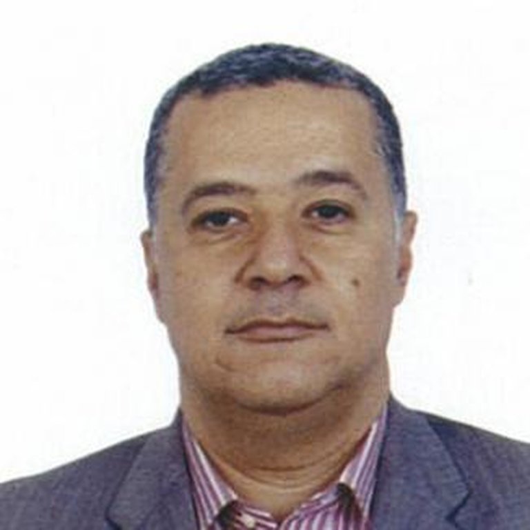阿里·法拉玛维（Ali Faramawy）